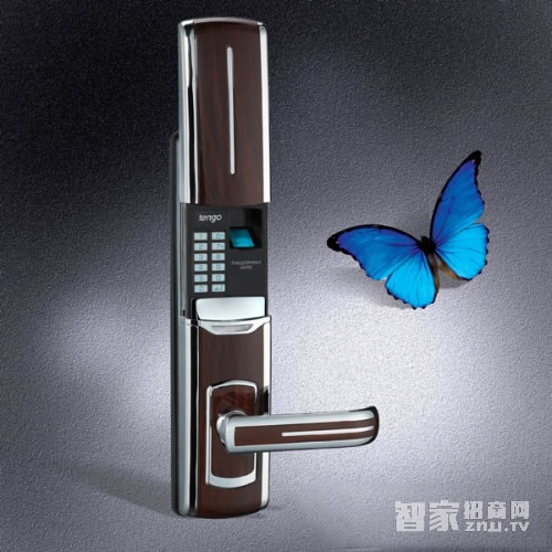 TENGO天固滑盖自动下滑指纹锁 家用防盗门智能锁 时尚便捷