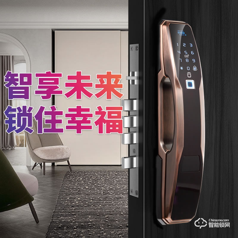 艾尔迈智能锁 家用防盗门远程大门电子密码锁
