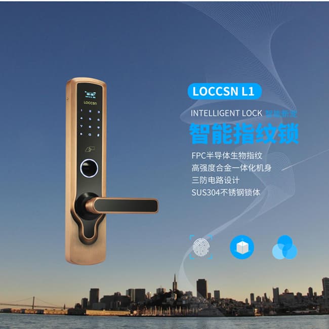 南泽智能锁 L1家用防盗门智能电子门锁