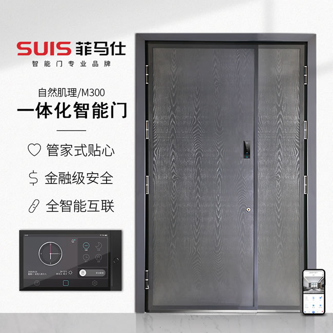 菲马仕智能门 M300J1高端定制智能门装甲门
